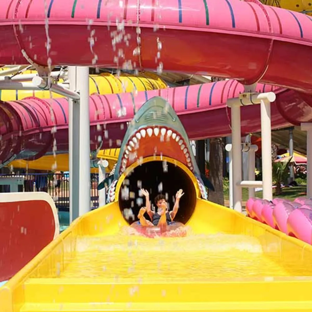 Shark Slide