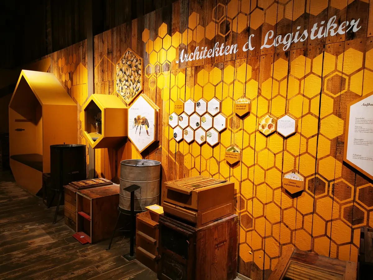 Bienen-Museum