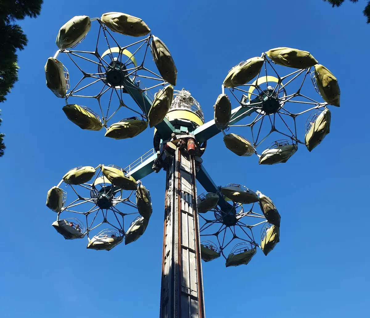 Rotor