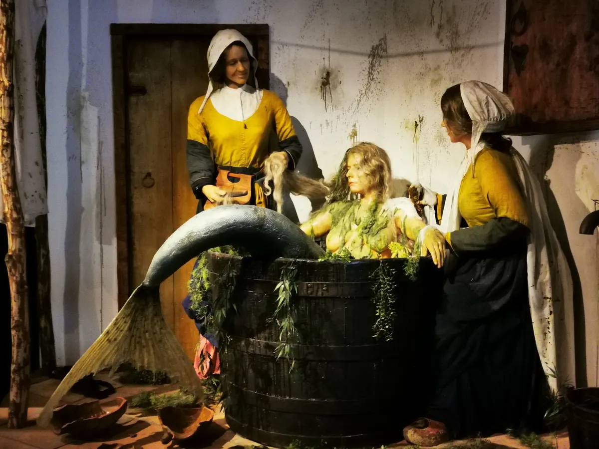 Suyderseemeermin