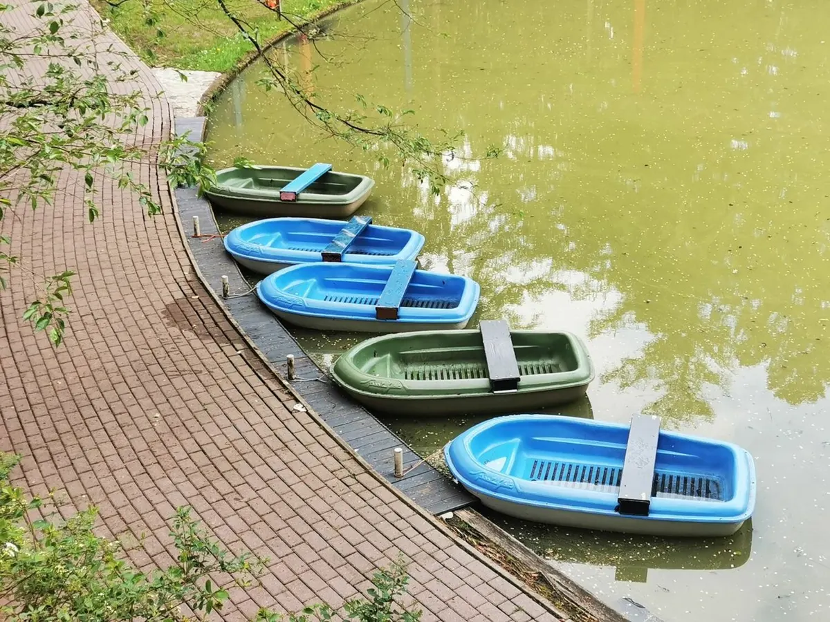 Ruderboote