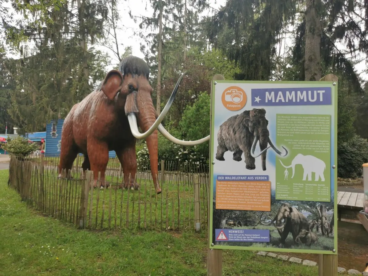 Mammut