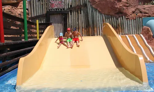 Coyote Park