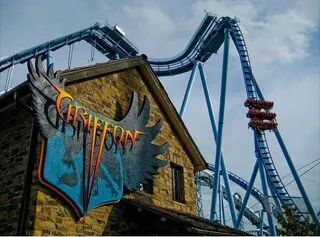 Griffon