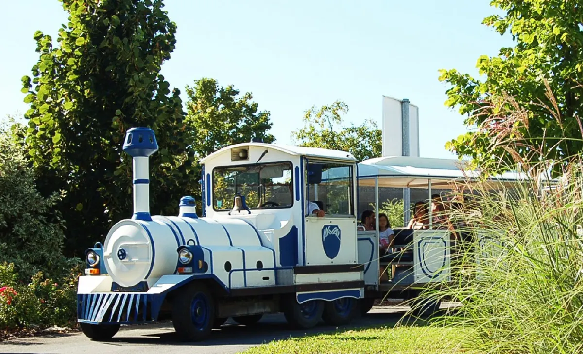 Le Petit Train Pédagogique