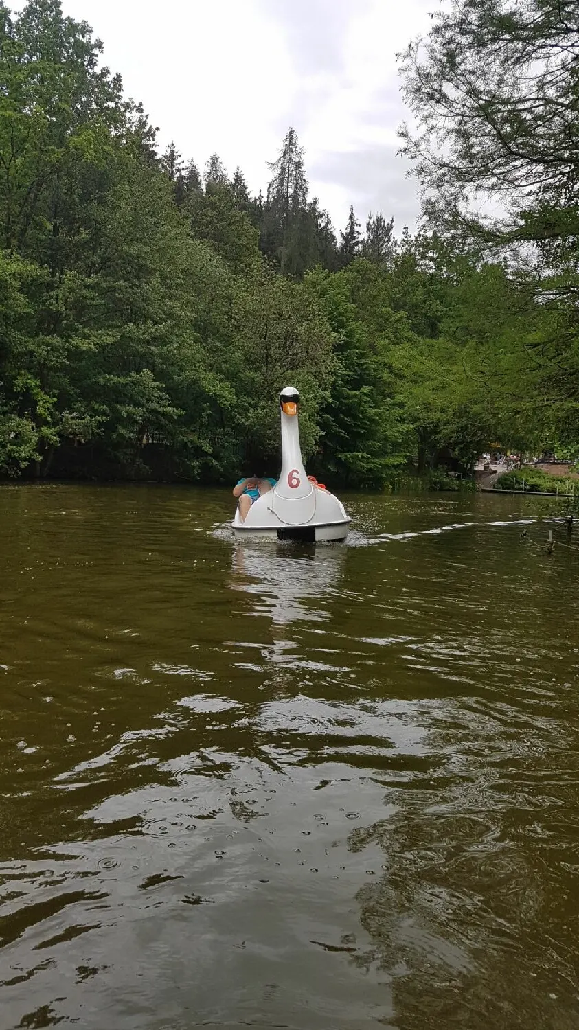 Schwanentretboote