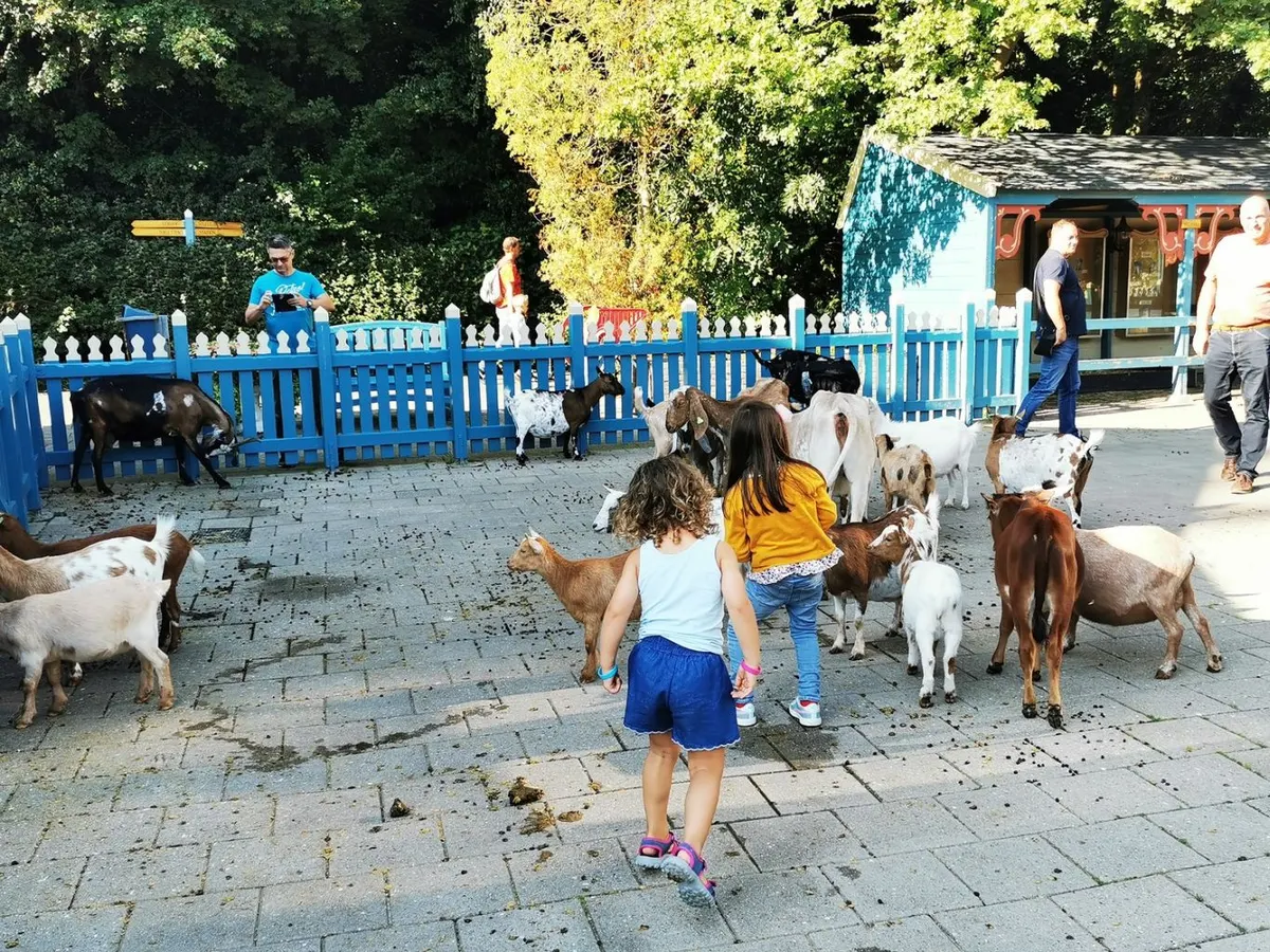 Kinderboerderij en dierenweides