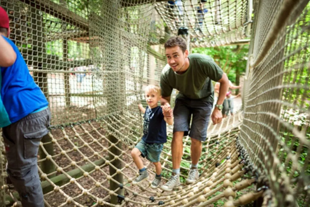 Kletterurwald