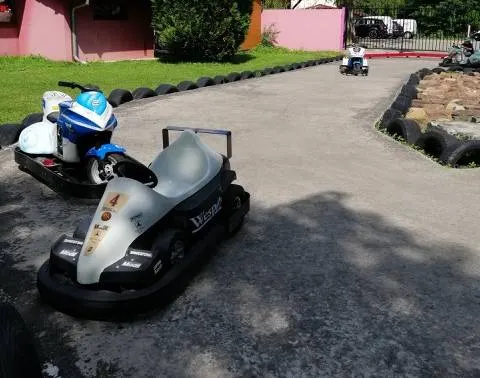Les F1