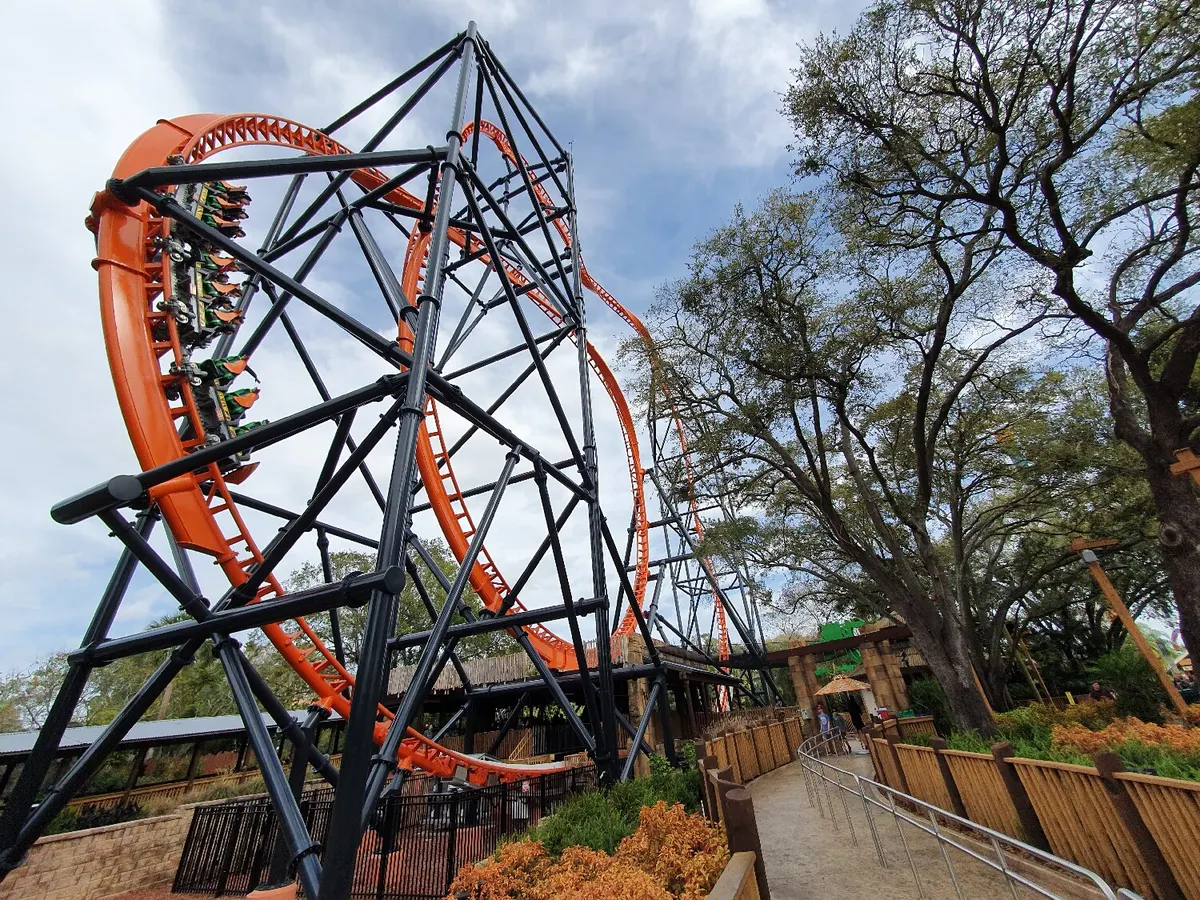 Tigris