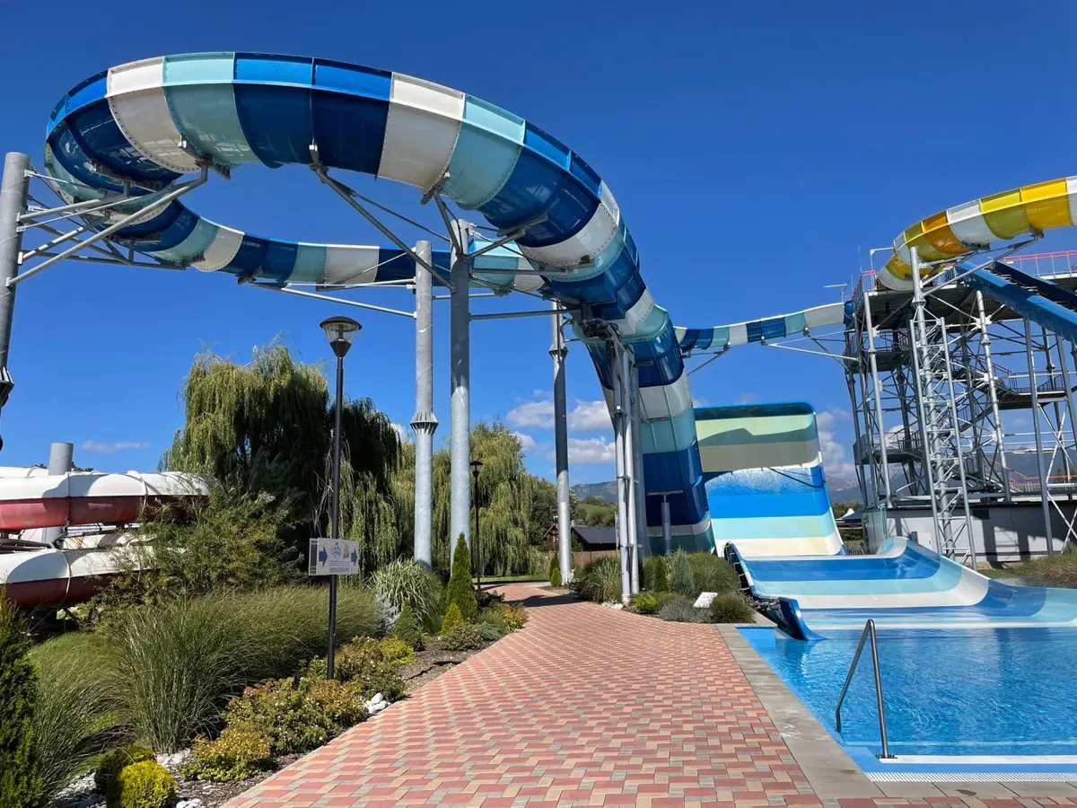 Delphin