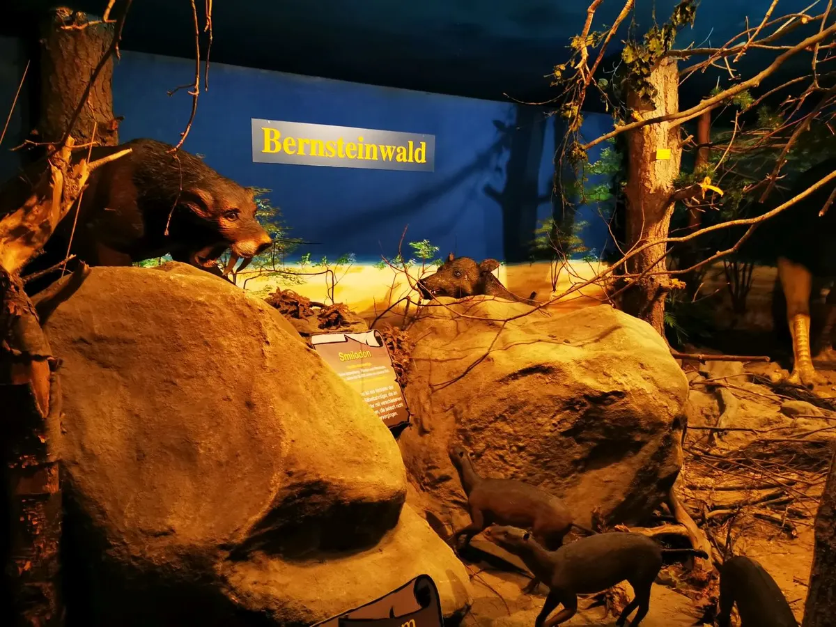 Bernstein- / Fossilien- / Mineralien-Ausstellung