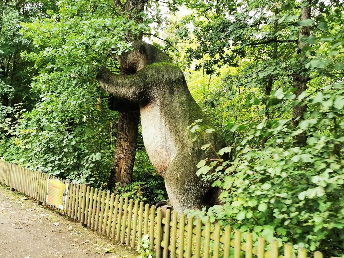 Urwelt-Tiere