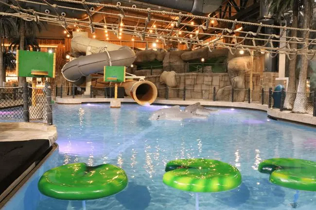 Dolphin Slide