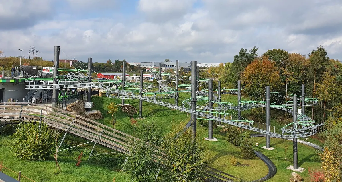 Grüner Hexenbesen