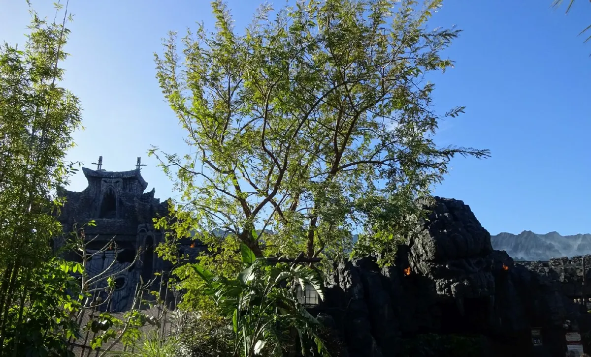 Skull Island: Reign of Kong™