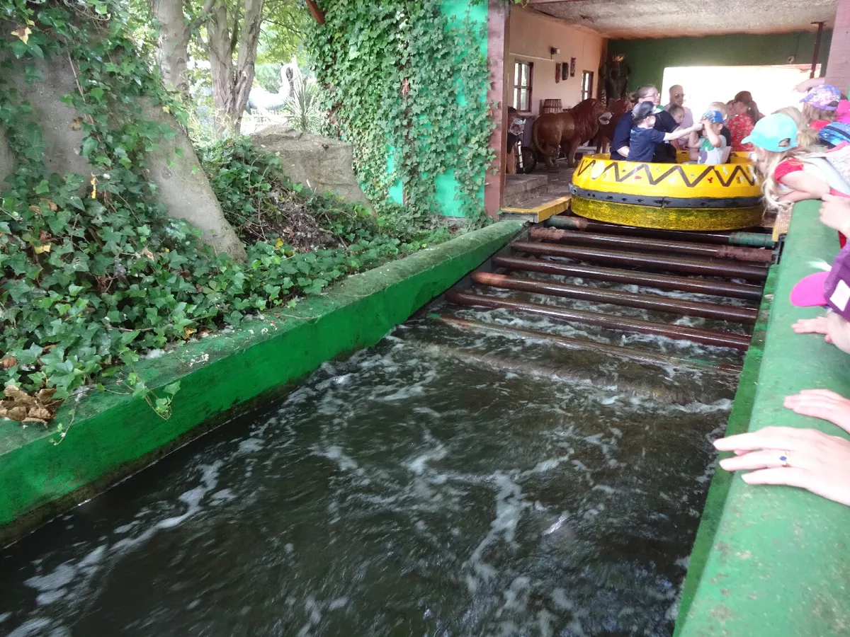 Jungle River Ride