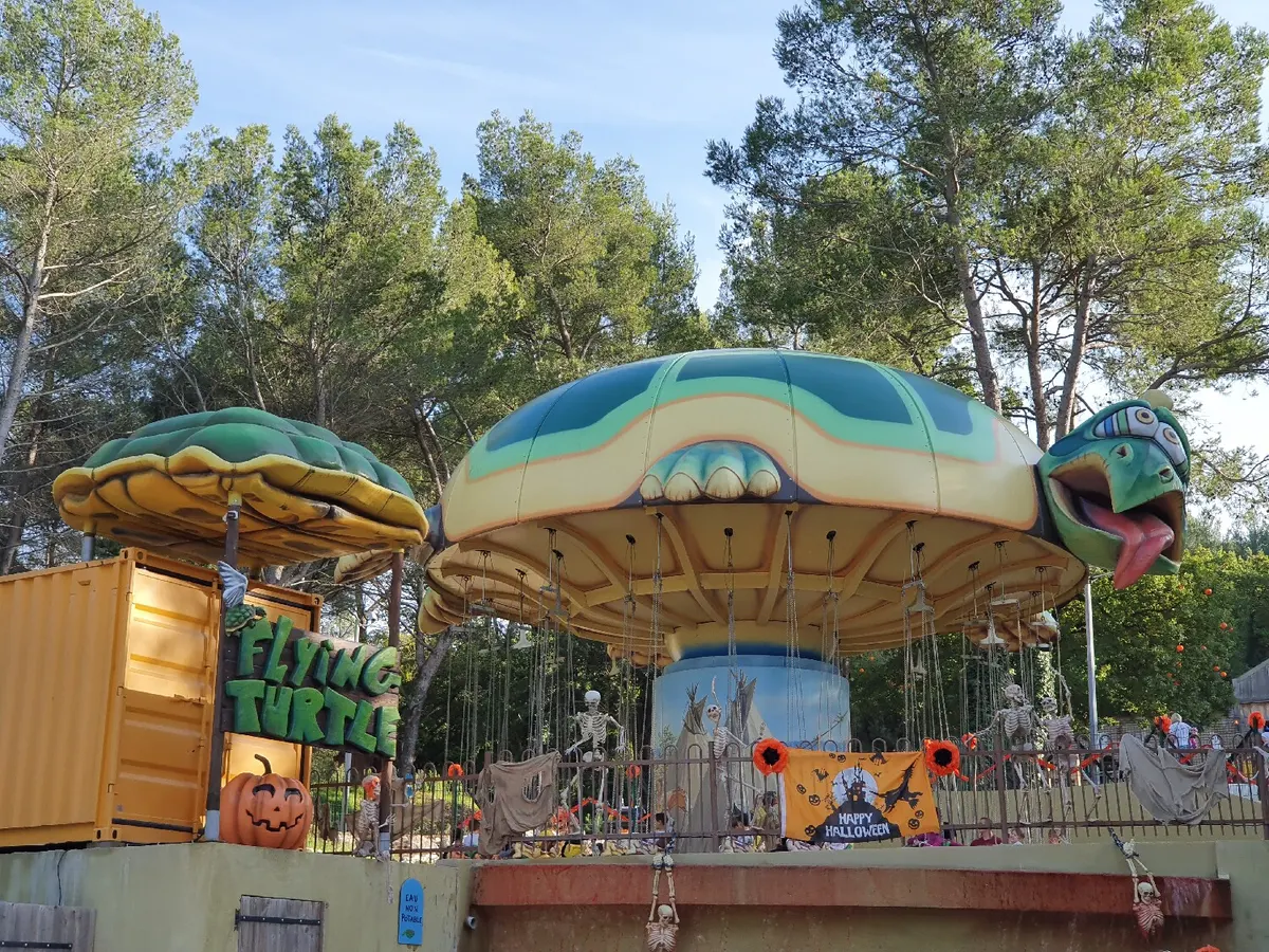 Flying Turtle