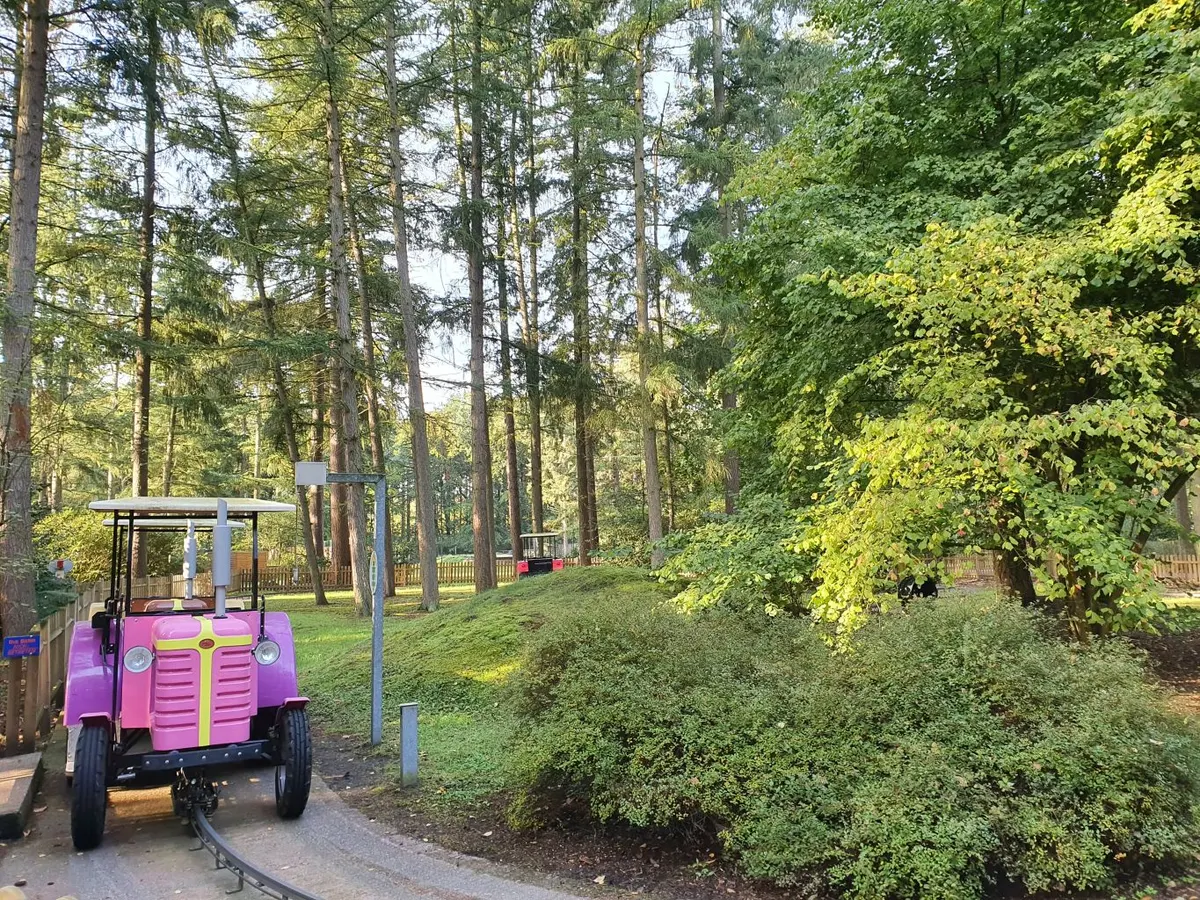 Bleifuß Bahn