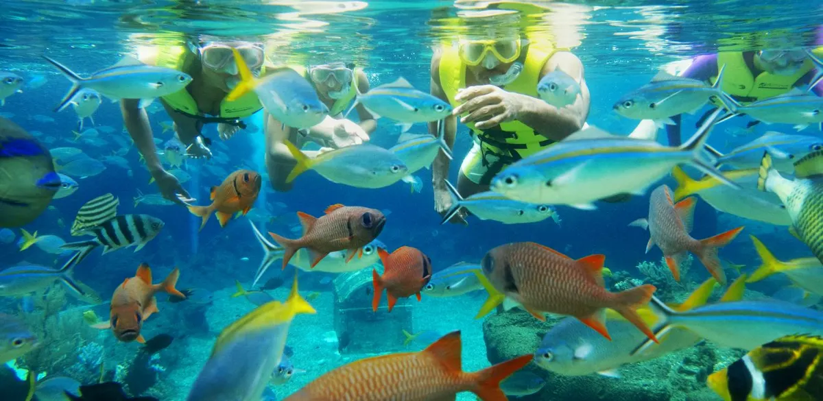 Rainbow Reef