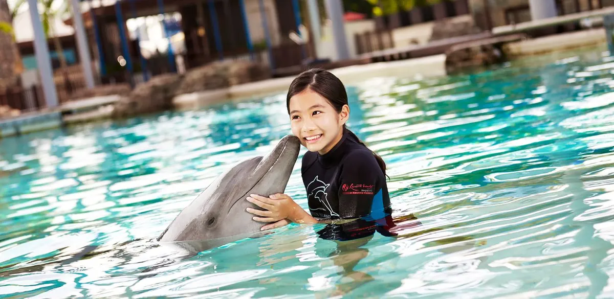 Dolphin Island