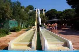 Camello