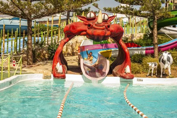 Diver-Dragón