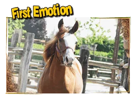 First Emotion