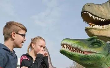 Dino Maze