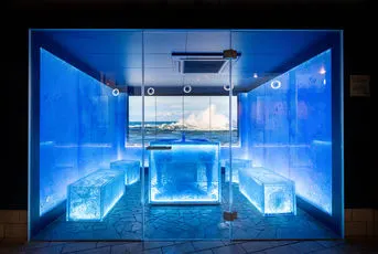 ICE Lounge