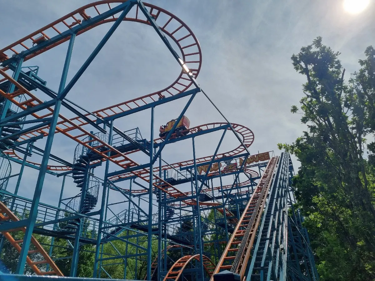 Wild Mouse