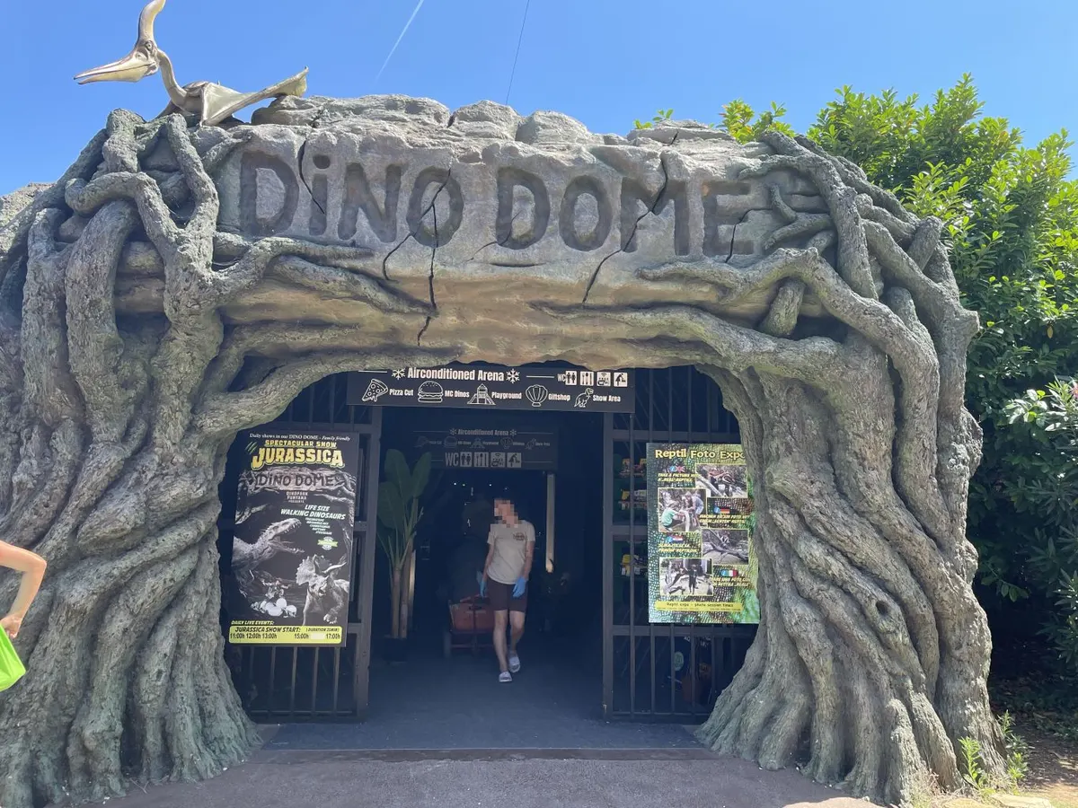 DINO DOME