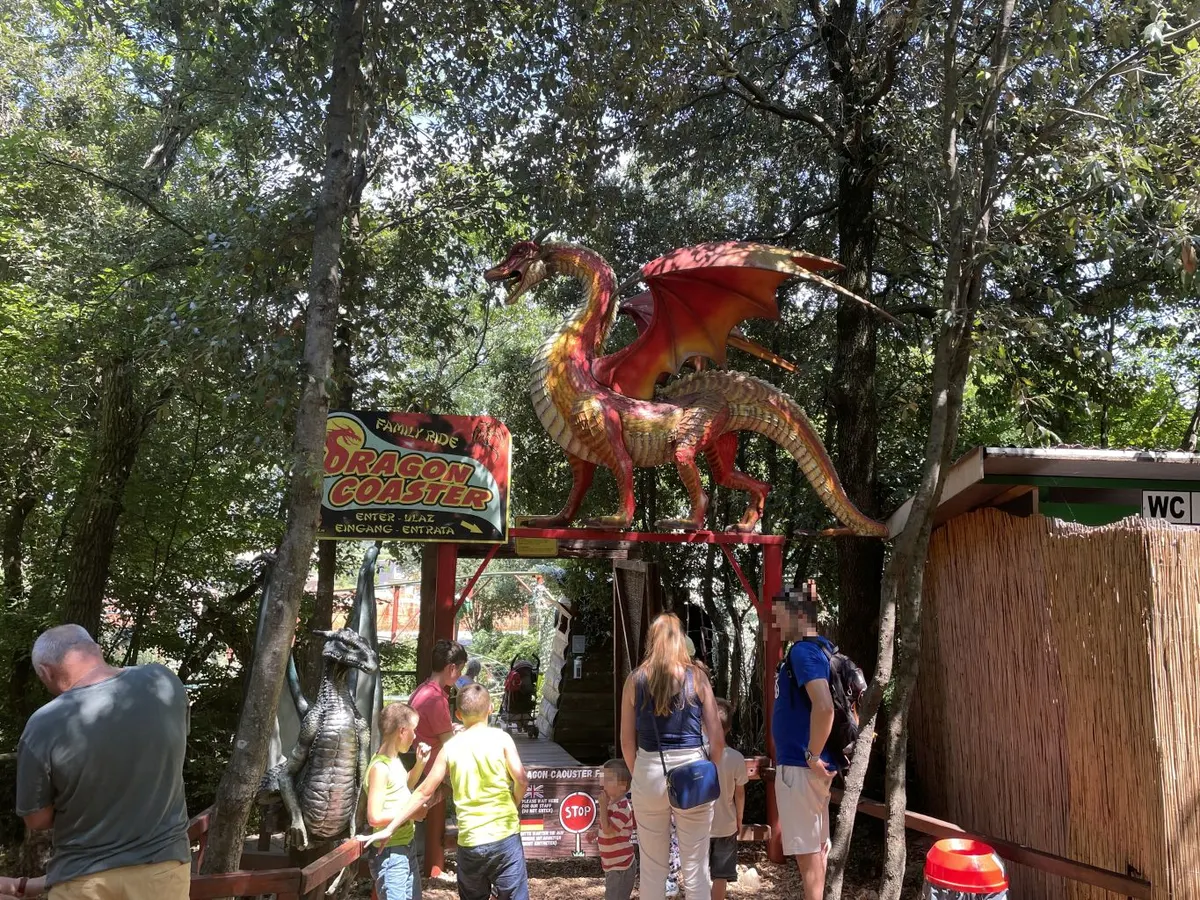 Dragon Coaster