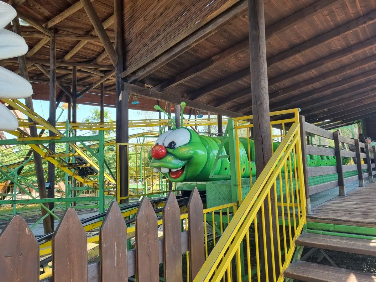 Bruco Verde