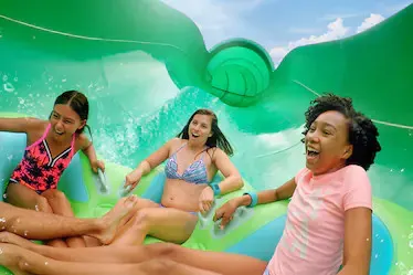 ika Moana of the Honu ika Moana™