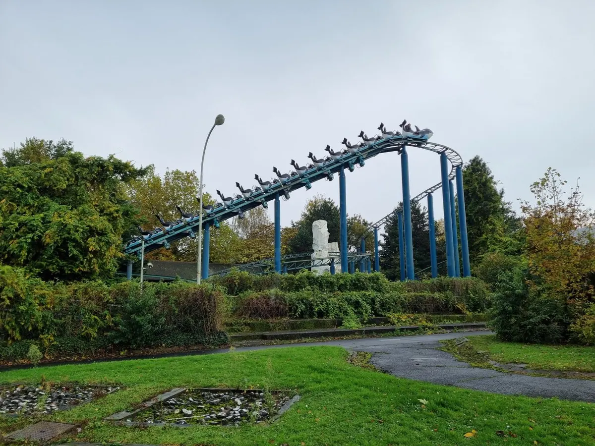 Orca Ride