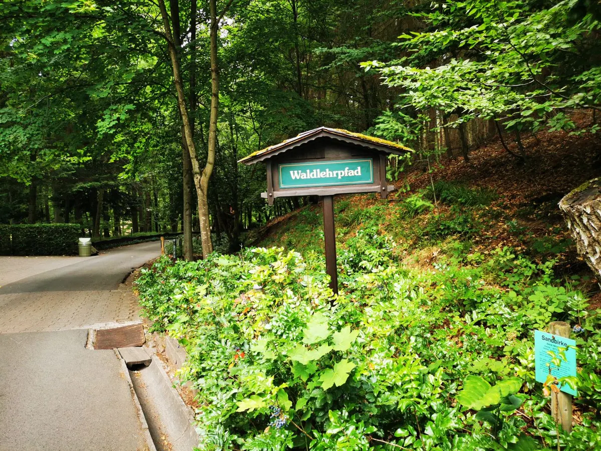 Waldlehrpfad