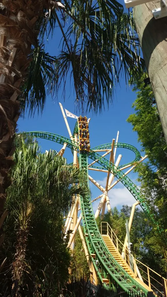 Cheetah Hunt