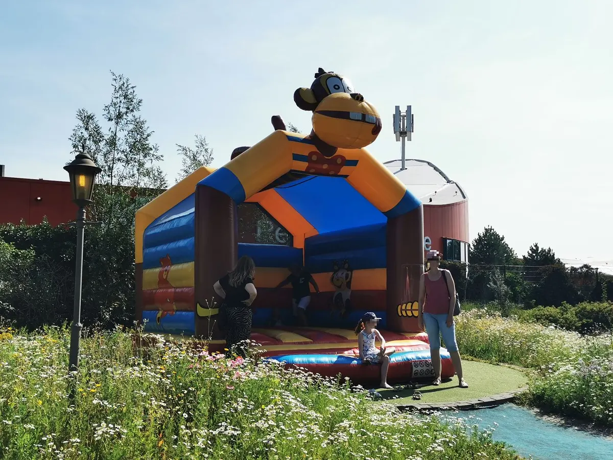 Springkussen