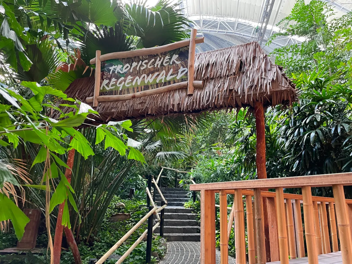 Regenwald