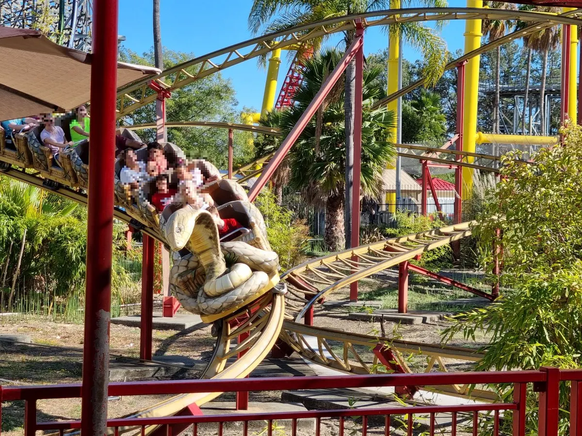 Cobra