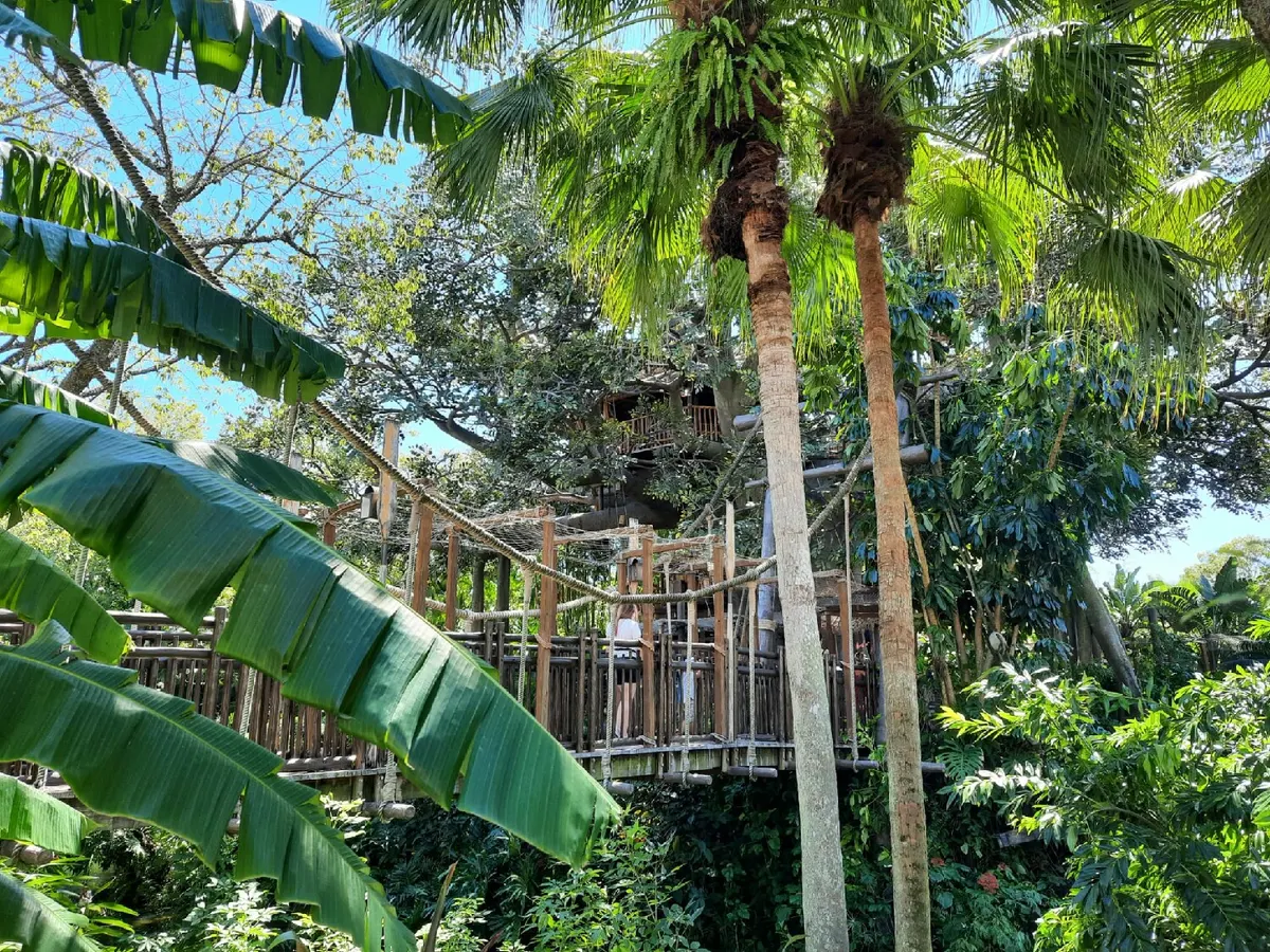 Swiss Family Treehouse