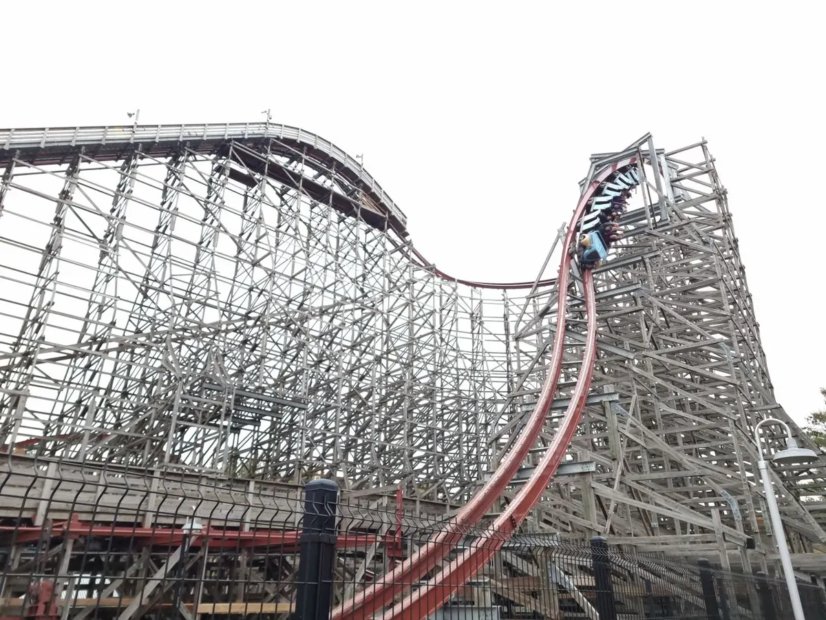 Twisted Timbers