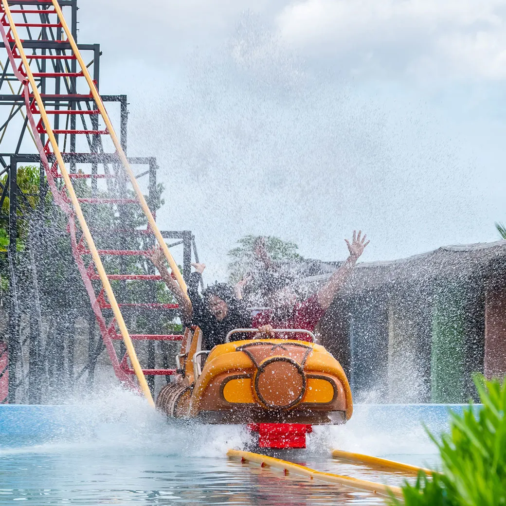 Log Flume