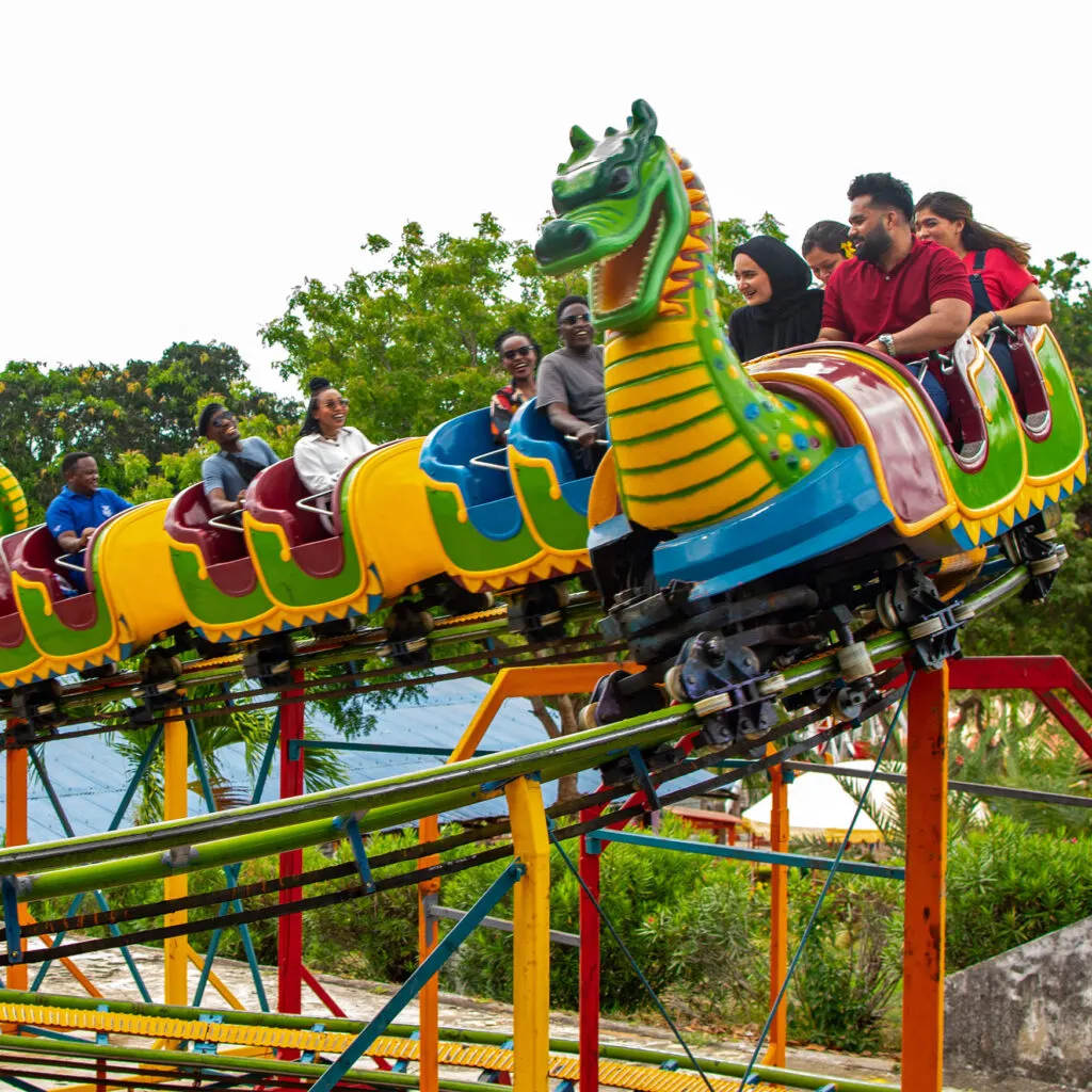 Dragon Roller Coaster