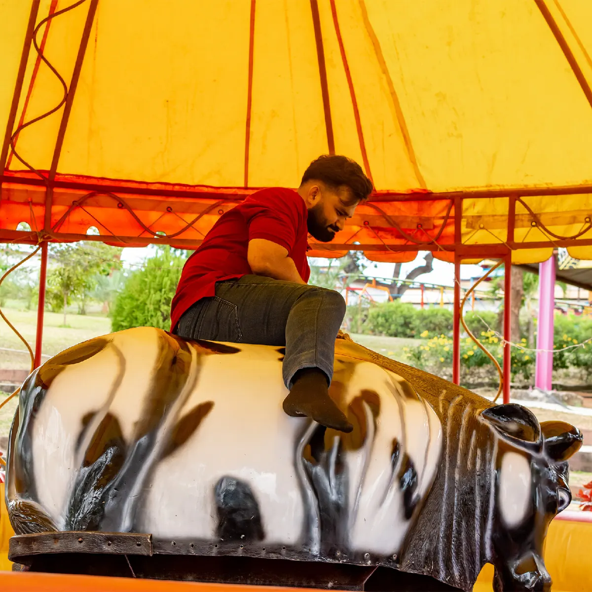 Bull Ride