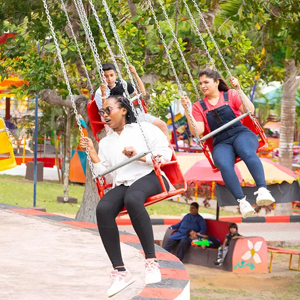 Swing Chairs
