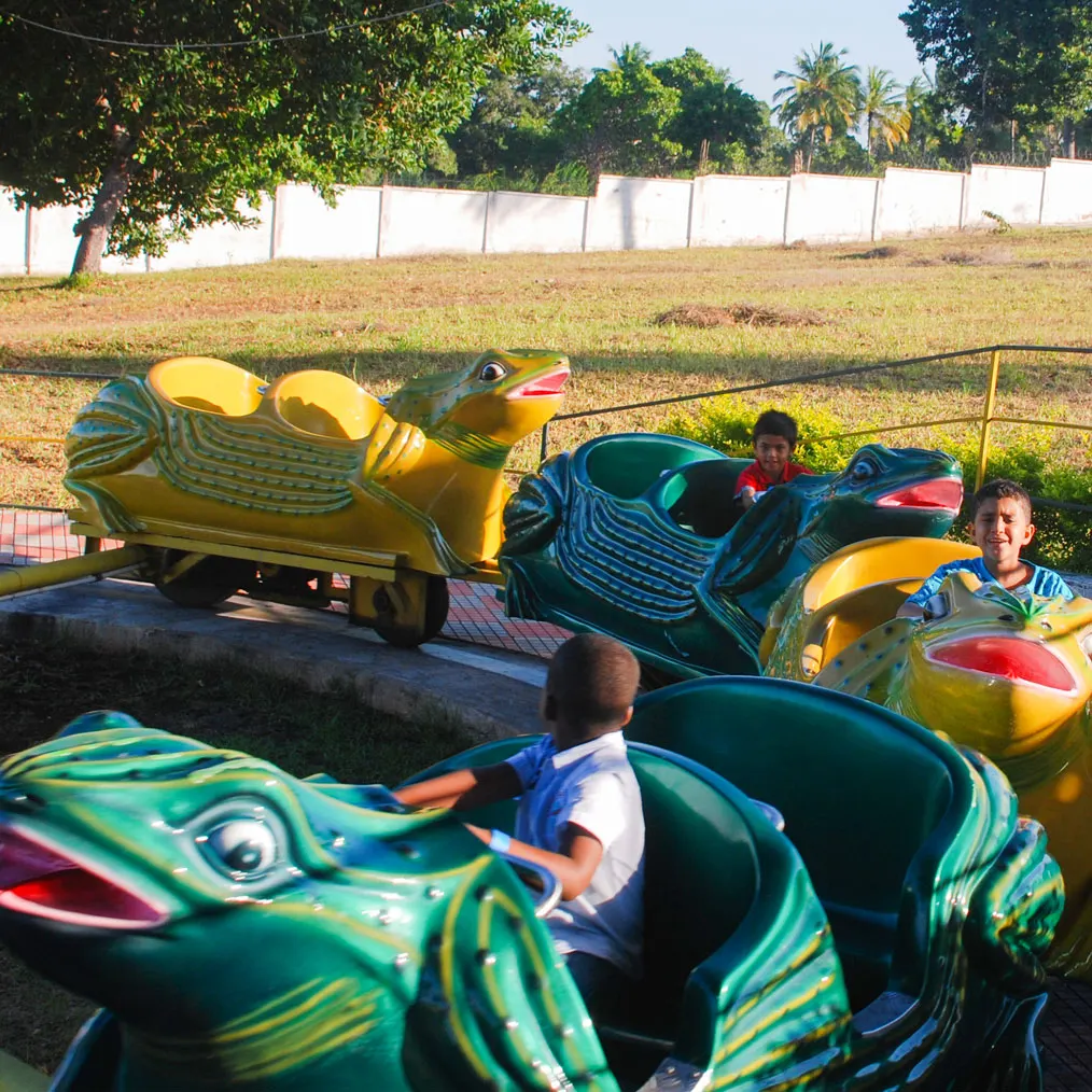 Jumping Frog