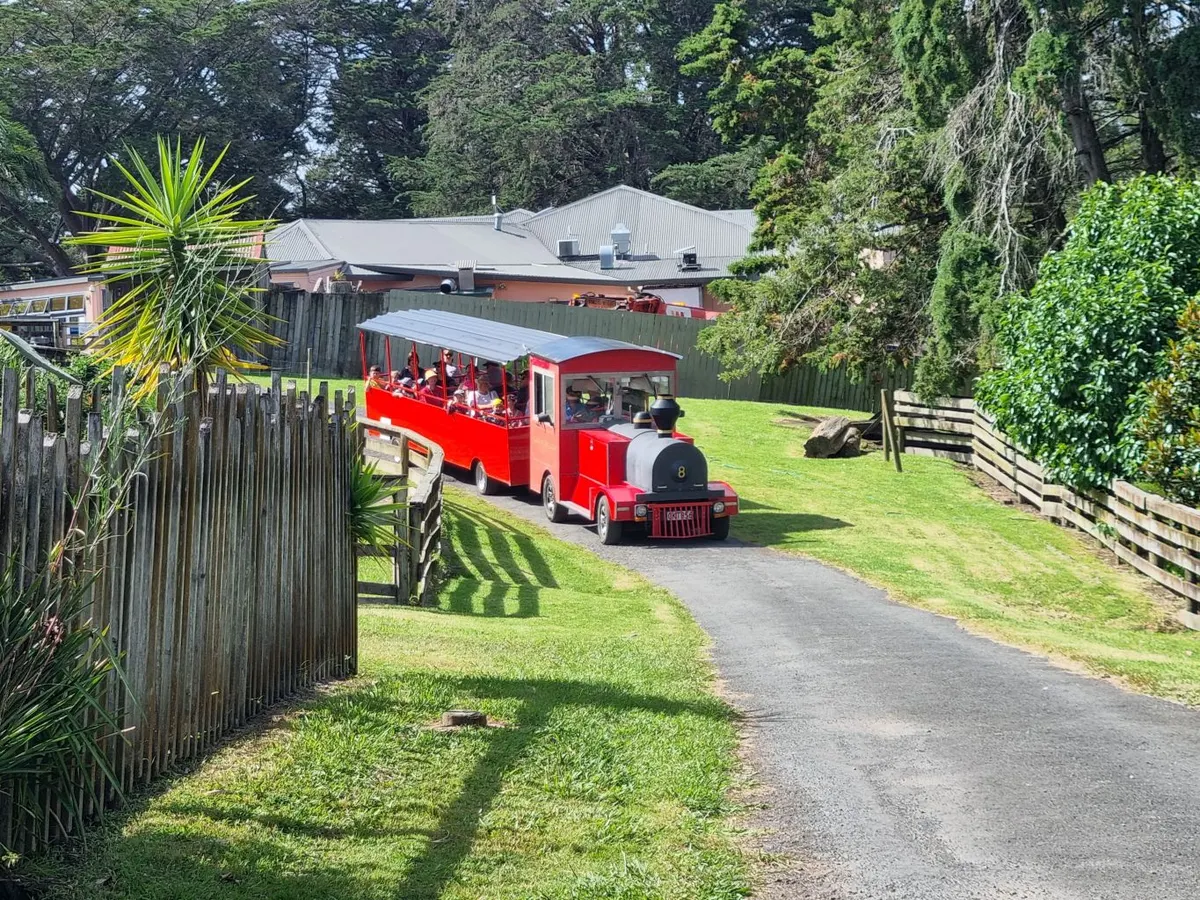 Crystal Mountain Express train