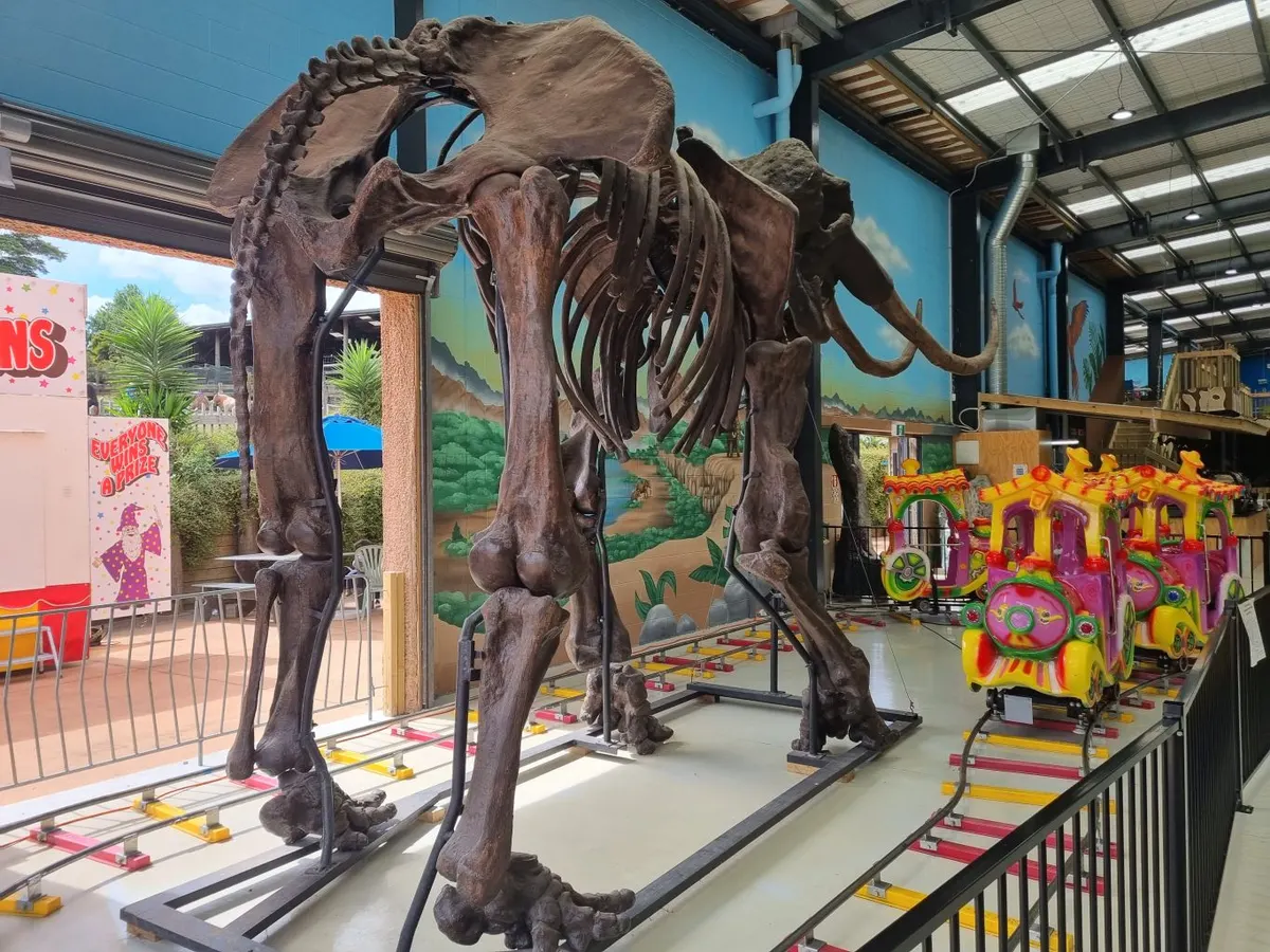 Mystery Mt. Indoor Play Area